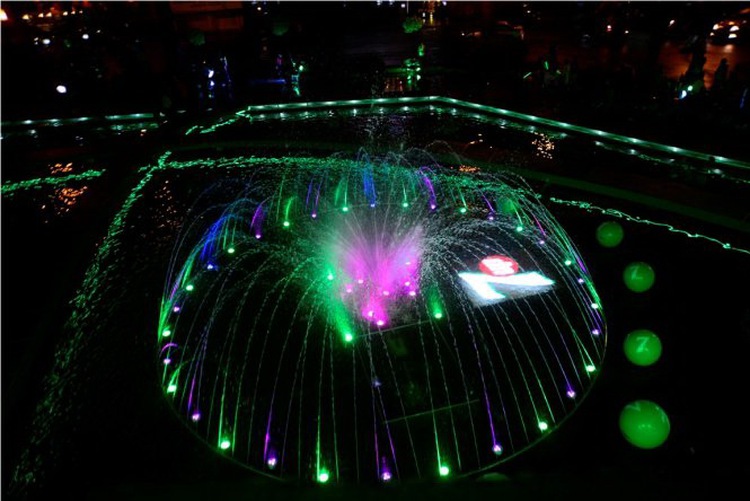 Youths’ project gives facelift to iconic lake in Ho Chi Minh City