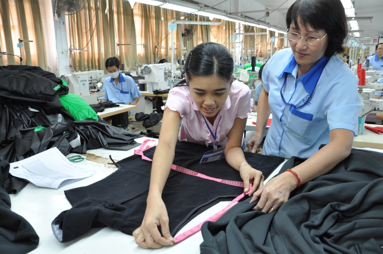 Ratification of Vietnam-EU free trade pact to take two years: ambassador