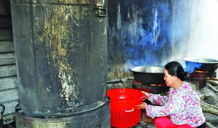 Forest plant glue a special herbal medicine of central Vietnam