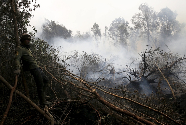Indonesia orders action against land burning as haze chokes SE Asia