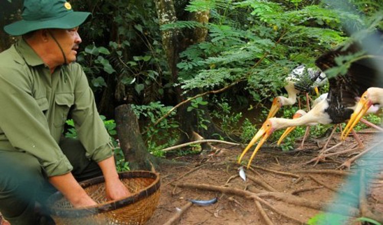 A trainer of wild birds in Vietnam’s Mekong Delta region