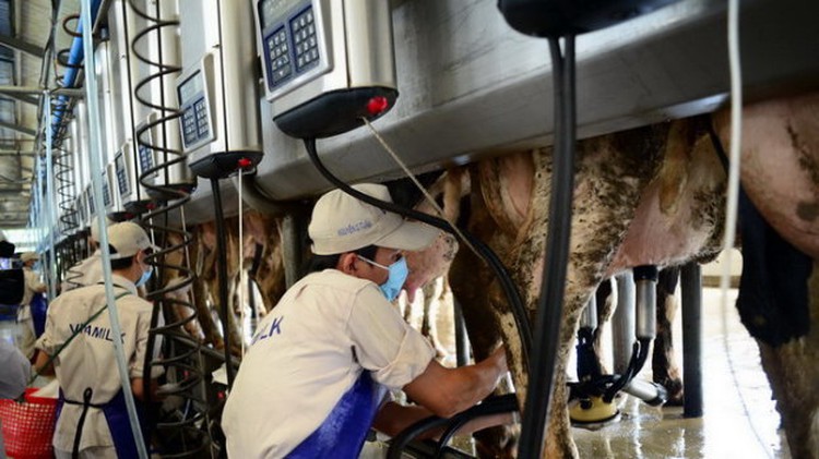 Vietnam government to divest $3bn worth of shares in ten firms