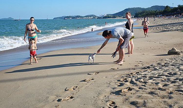 Vietnam firms fret over decline in Russian tourists as companies denied licenses