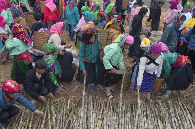 A photo visit to Vietnam’s mountainous markets