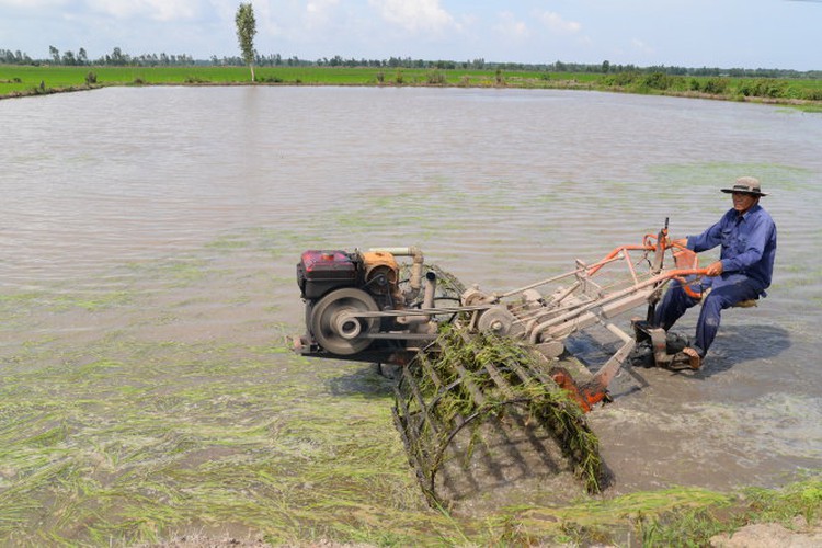 Drought, salinity threaten millions of farmers in Vietnam’s Mekong Delta
