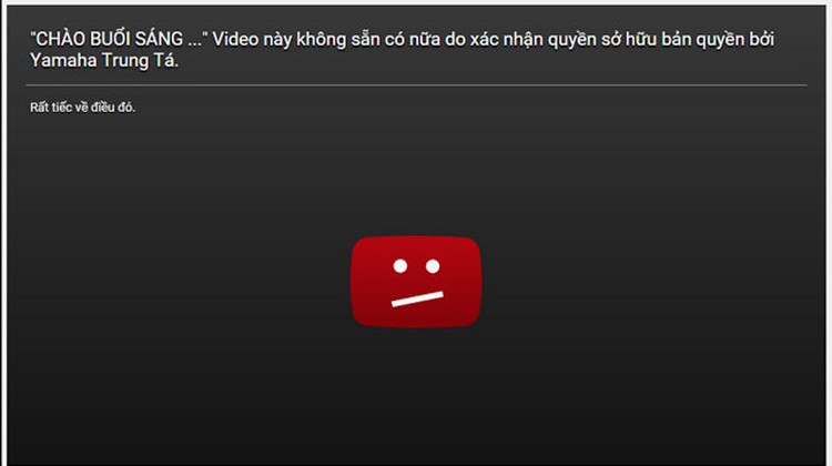 Vietnam’s state TV admits illegal use of YouTube drone videos