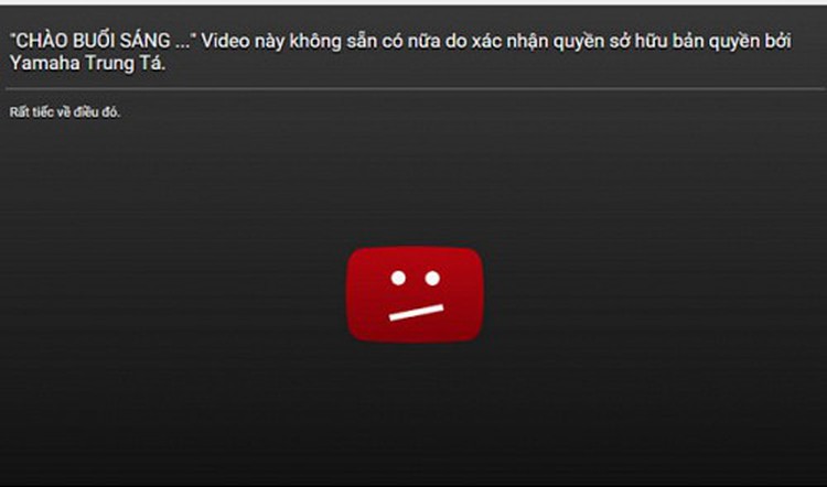 Vietnam’s state TV admits illegal use of YouTube drone videos