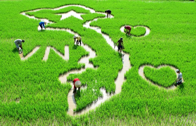 Photos of Vietnam’s timeless charm displayed in Japan