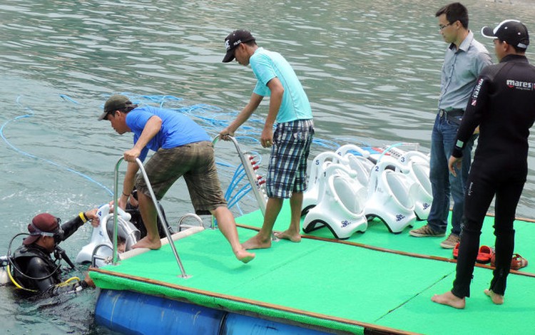 Seawalking service offered in Vietnam’s Hoi An City