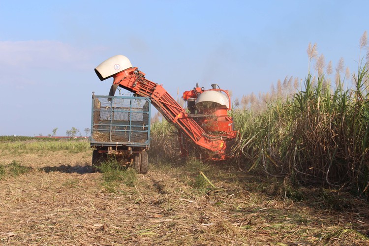 Vietnam’s cbank backs plan to bail out debt-ridden private enterprise