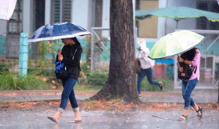 Rain in Vietnam