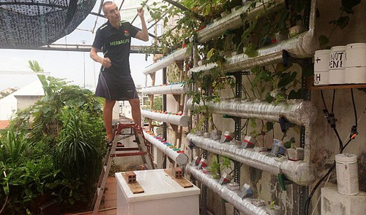 Czech man builds veggie garden on Ho Chi Minh City rooftop