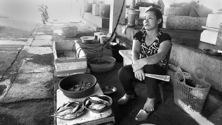 Fish quality in central Vietnam remains unclear following mass deaths