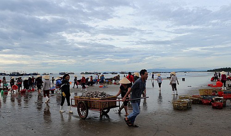 Fish not entirely safe to eat in central Vietnam: health ministry