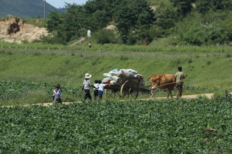 A Vietnamese perspective from inside North Korea – P1: First images