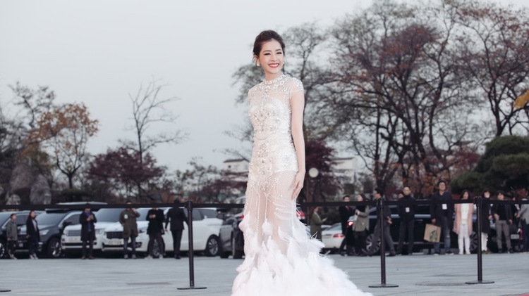 Vietnamese singer-actress crowned rising star at Asia Artist Awards
