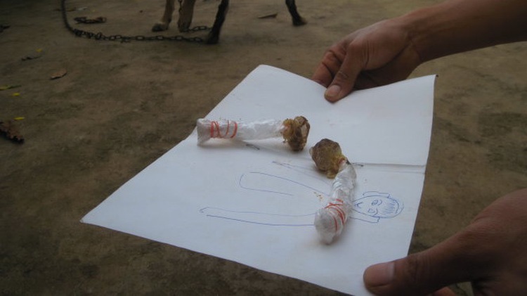 Vietnam man dies after mistaking dog poison for lollipop