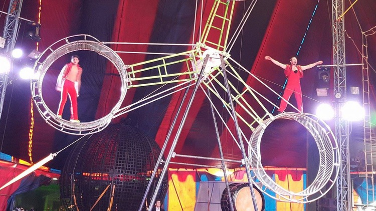 Ho Chi Minh City circus shows to feature 14 int’l performers