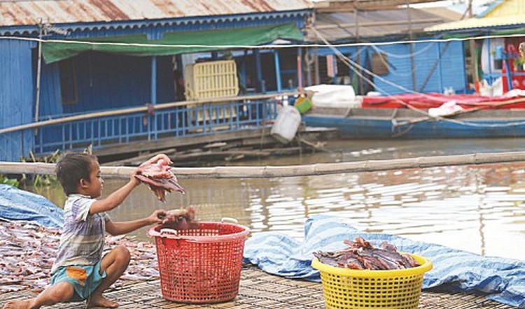 Vietnamese Cambodians build lives far from home country
