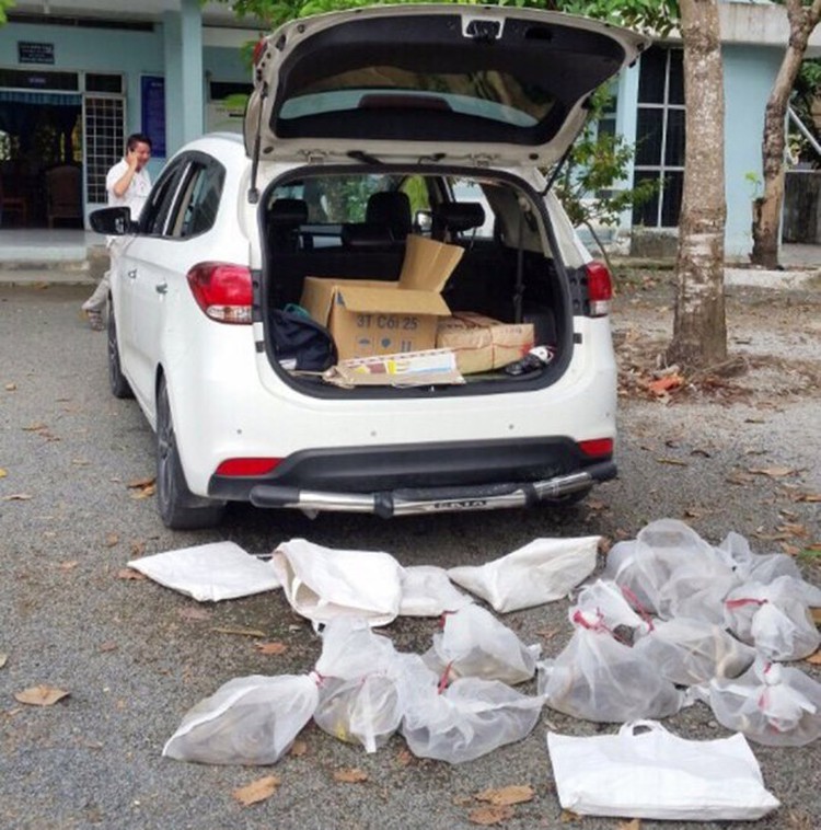 Chinese national caught attempting to release venomous snakes in southern Vietnam