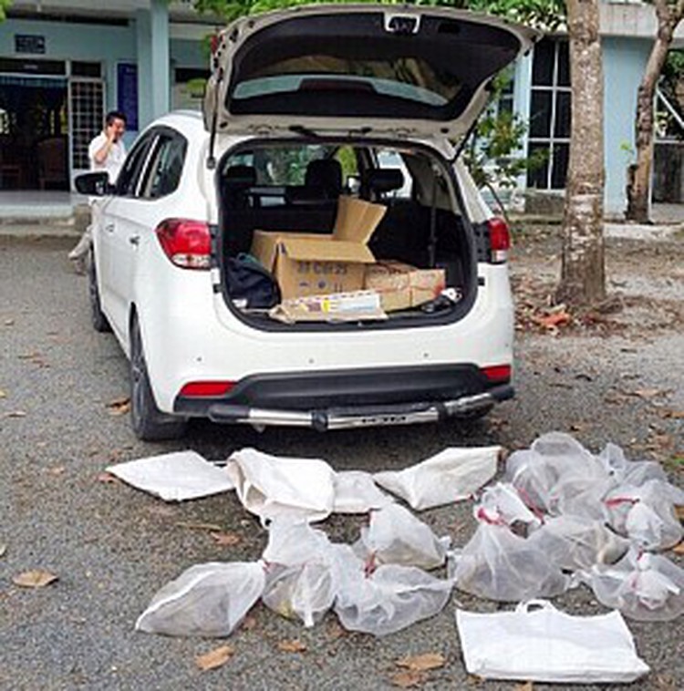 Chinese national caught attempting to release venomous snakes in southern Vietnam