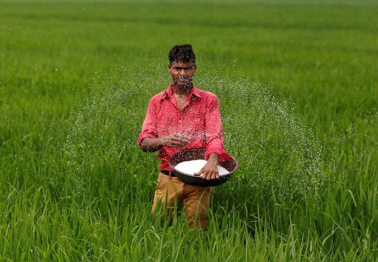 India market robust on African demand; Vietnam prices could fall