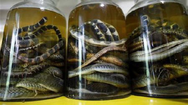 Russian man dodges jail time thanks to fake Vietnamese cobra wine
