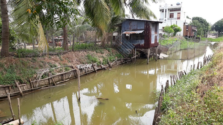 Vietnam on full alert as bird flu hits neighbors China, Cambodia