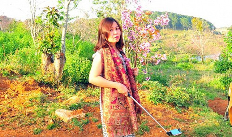 Justice dept official trashed for picking cherry blossom in Da Lat