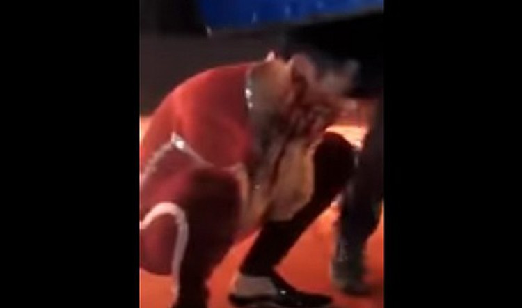 Vietnam performer narrowly escapes gator’s jaws in daring circus stunt