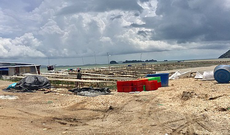 Company discovered ‘filling’ 5.3 hectares of sea in southern Vietnam