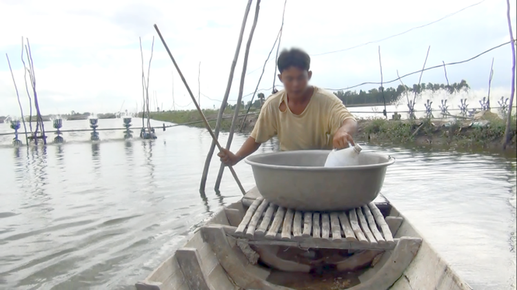 Vietnamese farmers mix salt with water to raise shrimp