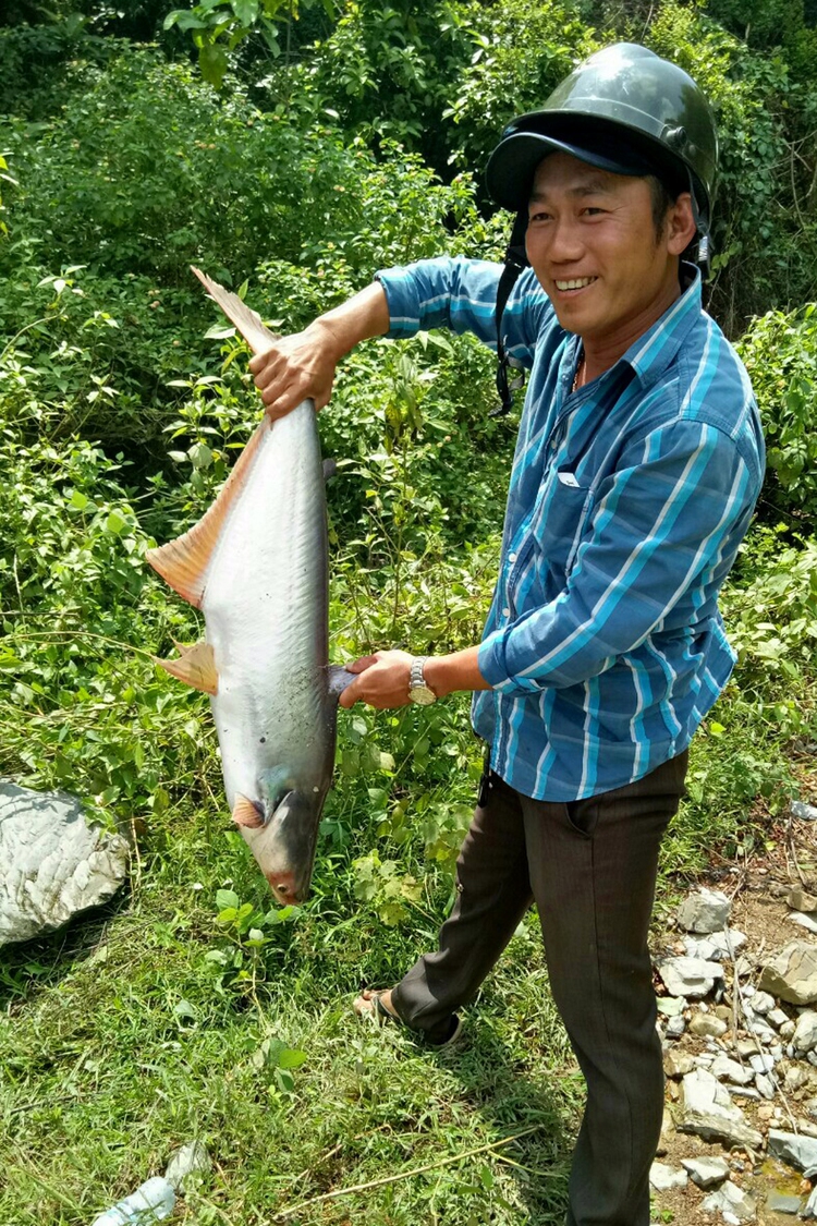 Residents net big catches as Vietnam hydropower plant ceases water discharge