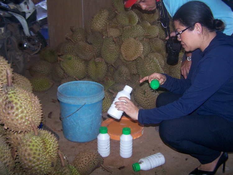 Durian wholesaler caught soaking fruit in ripening agent in Vietnam