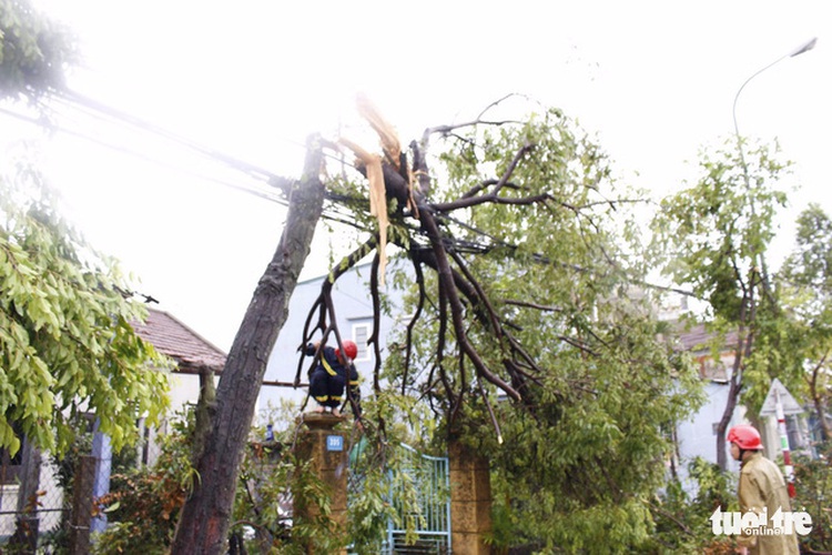 Central Vietnam ravaged by storm Doksuri even before landfall