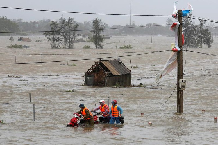 Typhoon tears across Vietnam, skirting key coffee region