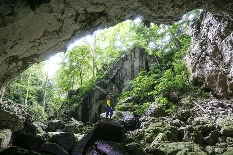 Three new caves to open to tourists at Vietnam’s Phong Nha-Ke Bang