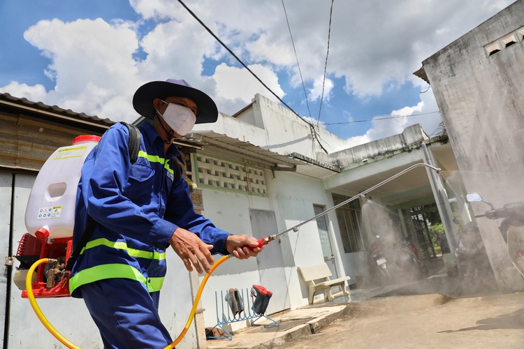 ​Ho Chi Minh City plans incineration of 3,750 pigs after exposure to sedatives