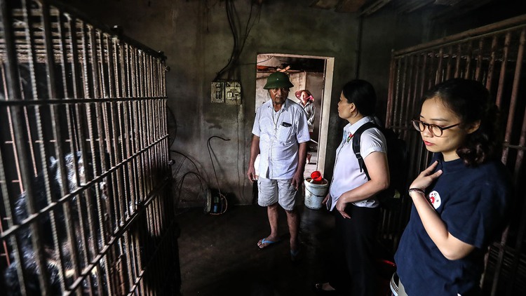 Bears raised for bile in Vietnam get second chance at life