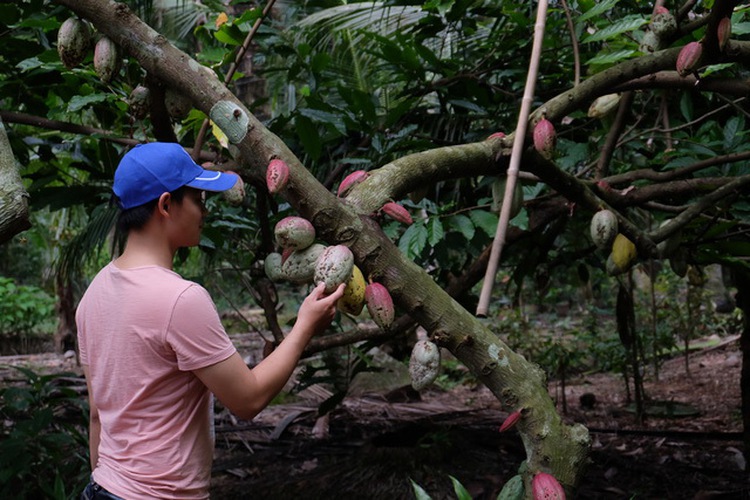 Youths inspired by Israeli farming hold free green tours to farms outside Saigon