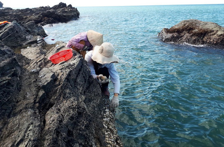Life as a barnacle scavenger for women in central Vietnam