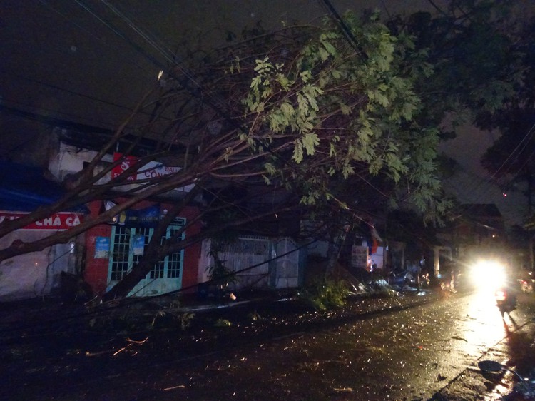Downpour inundates streets, unroofs houses in Ho Chi Minh City