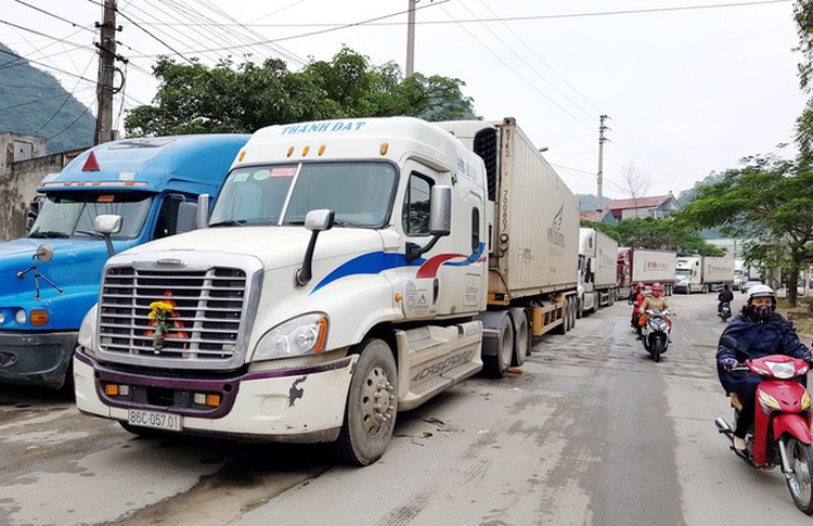 ​Vietnamese dragon fruit sits idle near Chinese border as consumption slows
