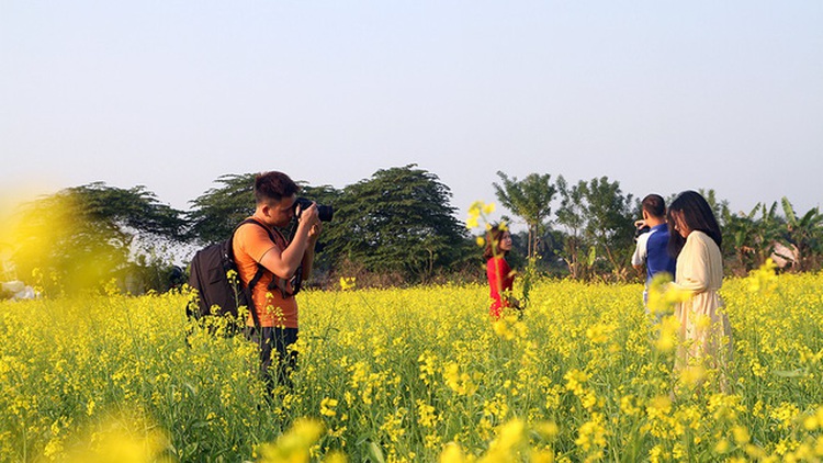 Hanoi youths pose with yellow canola flowers as winter approaches