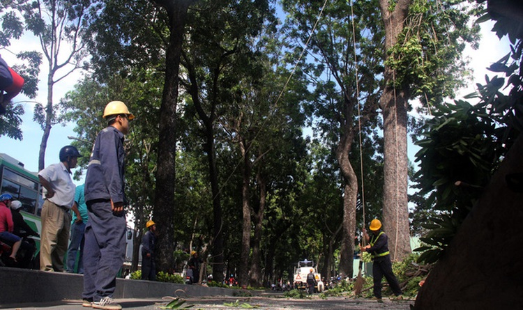 Ho Chi Minh City to auction landscaping contracts