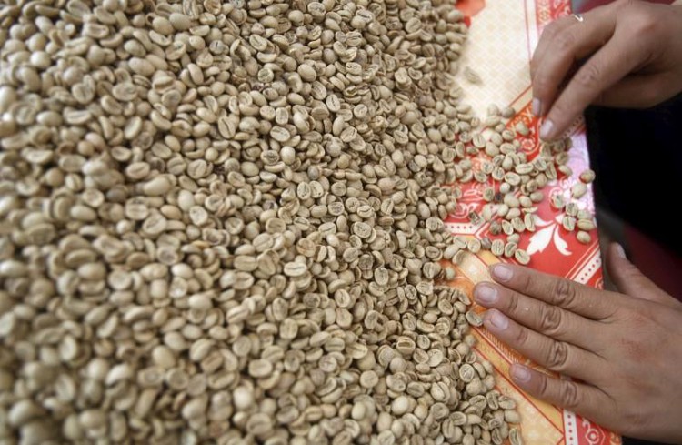 Weak coffee demand in Vietnam amid erratic weather, prices steady