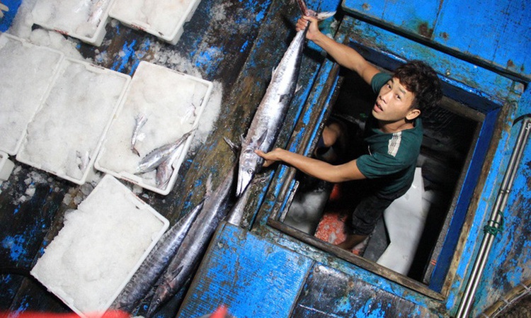 Vietnam’s seafood industry reacts to ‘yellow card’ from EU
