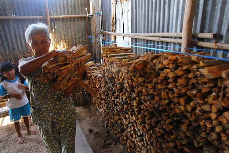​Dong Thap is a model for reducing internal migration in Vietnam