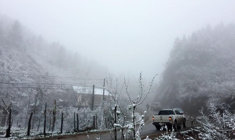 ​Snow blankets Vietnam’s Sa Pa (photos)
