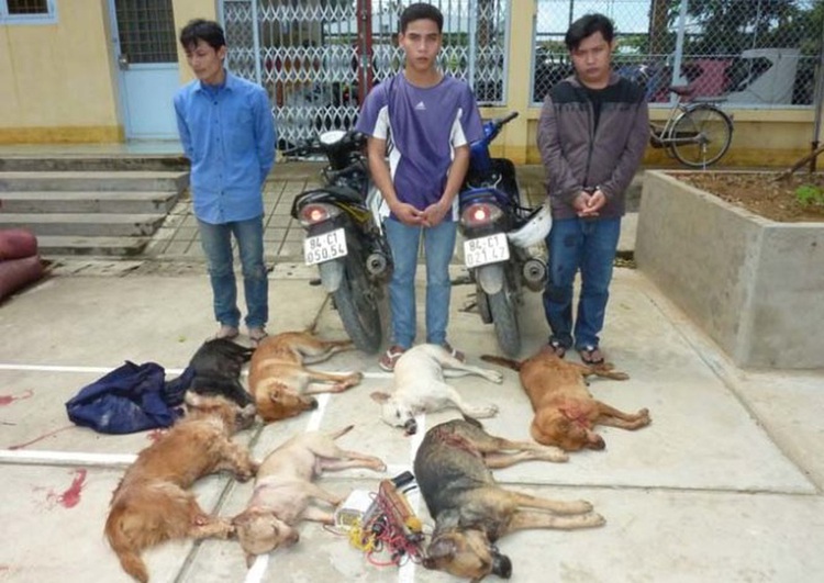 Vietnamese TV channel faces backlash over dog meat episode